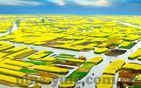 即时比分足球比分直播-即时比分足球比分直播,球迷的实时战场与情感纽带