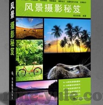 意大利对荷兰足球比分-意大利VS荷兰,经典对决再现,比分背后的战术博弈与历史回响