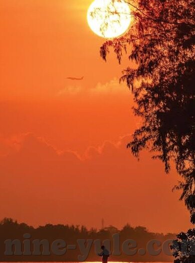 足球比分主客场-足球比分背后的主客场密码，胜负天平的微妙倾斜